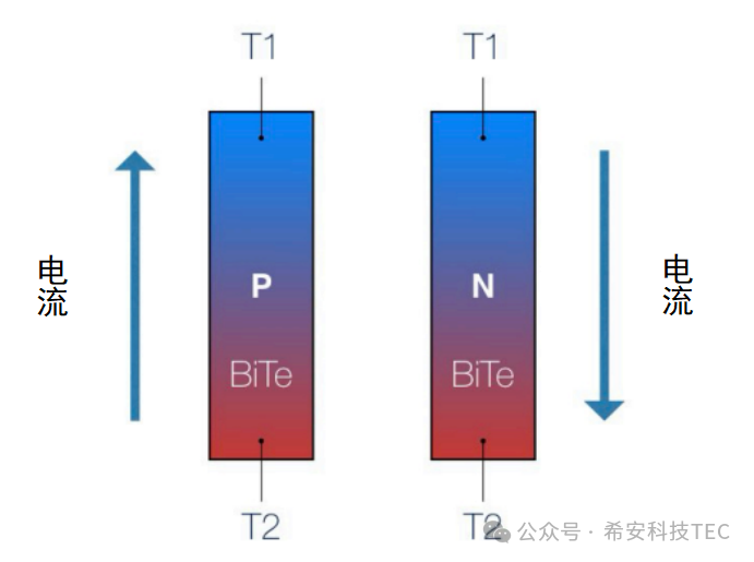TEC ఎలా పని చేస్తుంది?